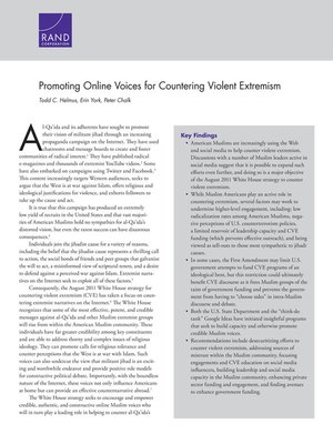 cover image of Promoting Online Voices for Countering Violent Extremism